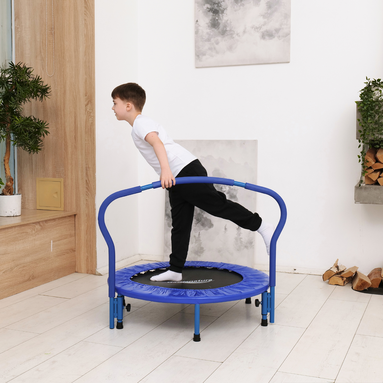 Батут с поручнем DFC Gardenature 36'' синий