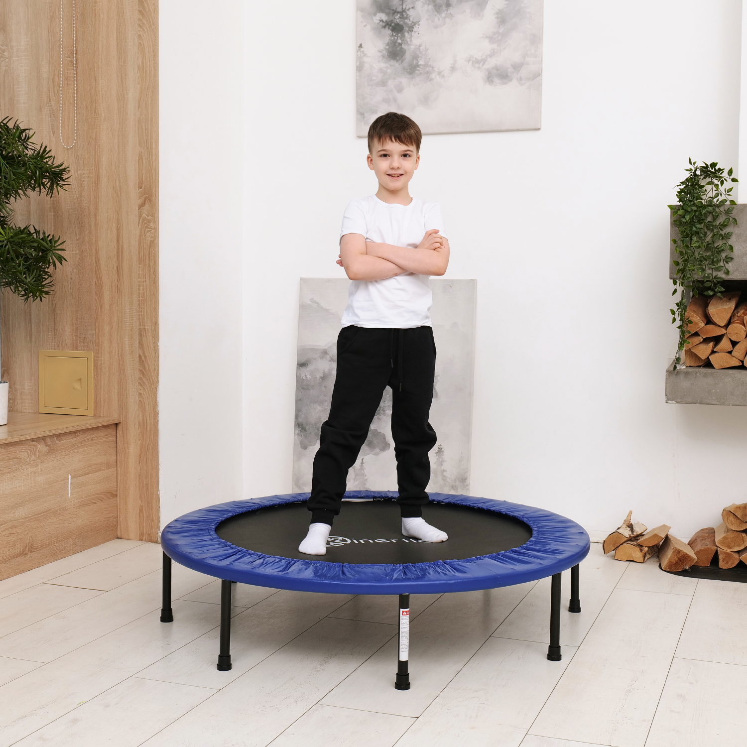 Батут DFC Kinertial 48'' синий
