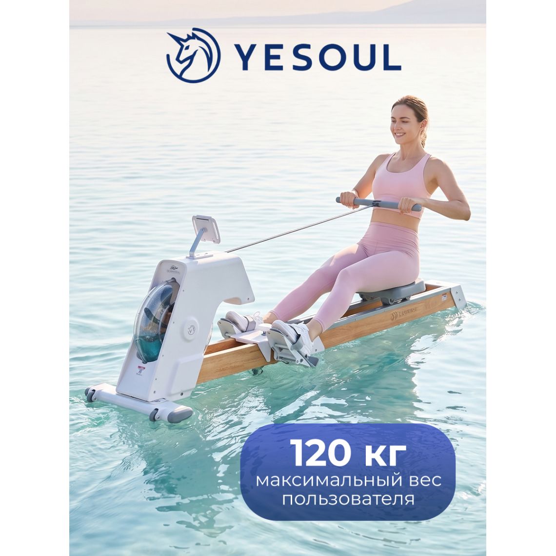 Гребной тренажер DFC YESOUL SQ-RM2002YL, водный — купить в Actus Sport