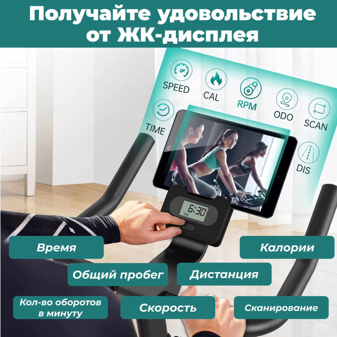 Спин-байк DFC PASYOU / магнитный, до 135 кг — купить в Actus Sport