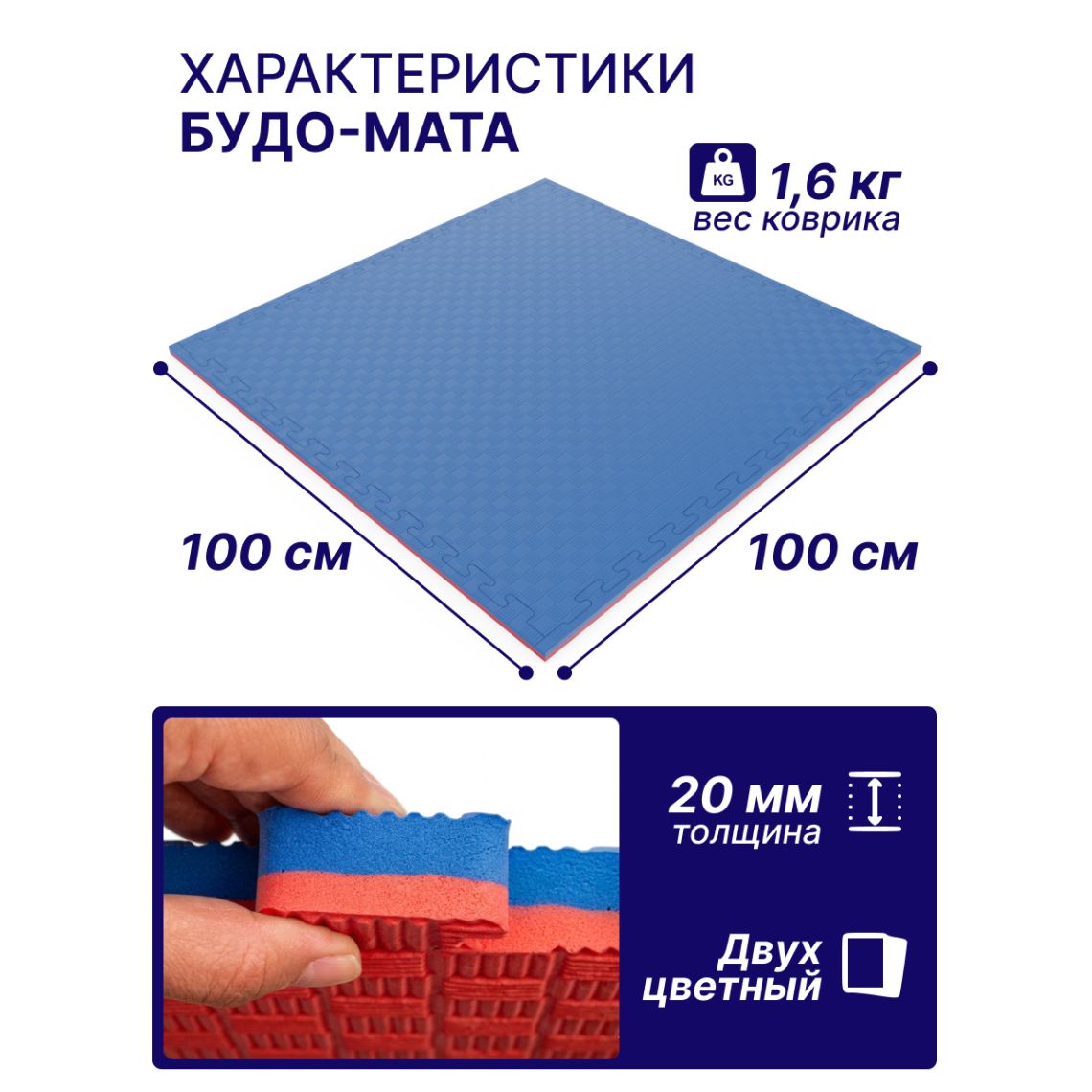 Будо-мат EVA DFC 100 x 100 см, 20 мм, цвет сине-красный — купить в Actus Sport