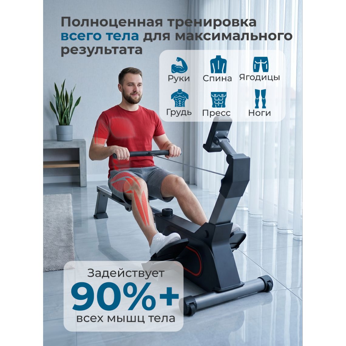 Гребной тренажер DFC PASYOU SQ-RM2405, магнитный — купить в Actus Sport