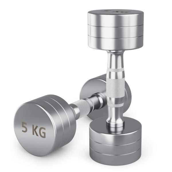 Гантель UNIX Fit PRO круглая хромированная 5 кг, 2 шт.