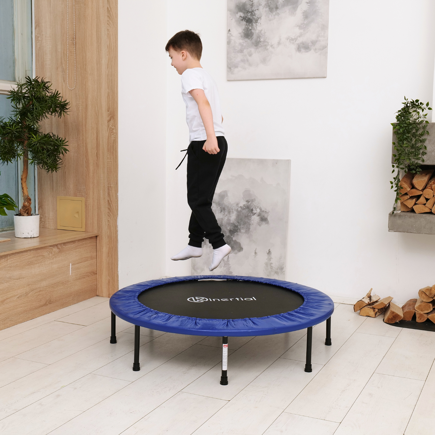 Батут DFC Kinertial 48'' синий