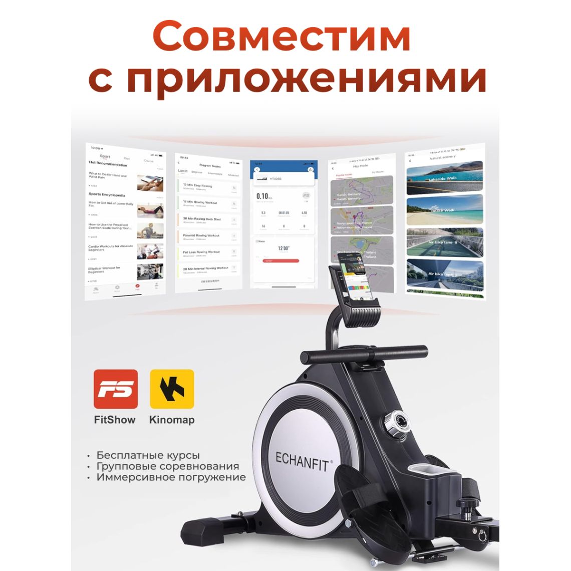 Гребной тренажер DFC ECHANFIT, складной — купить в Actus Sport