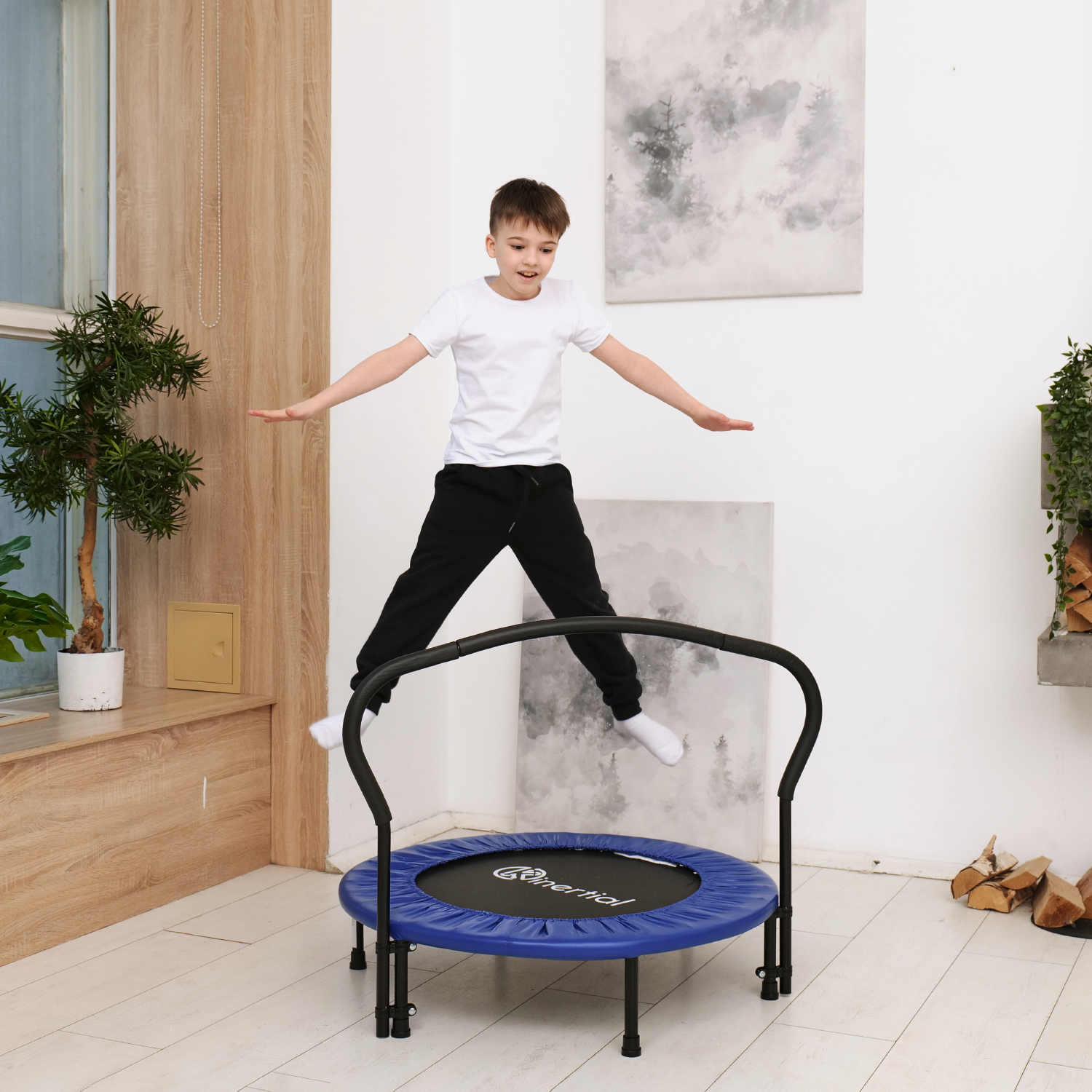 Батут с поручнем DFC JUMPFIT 36'' синий