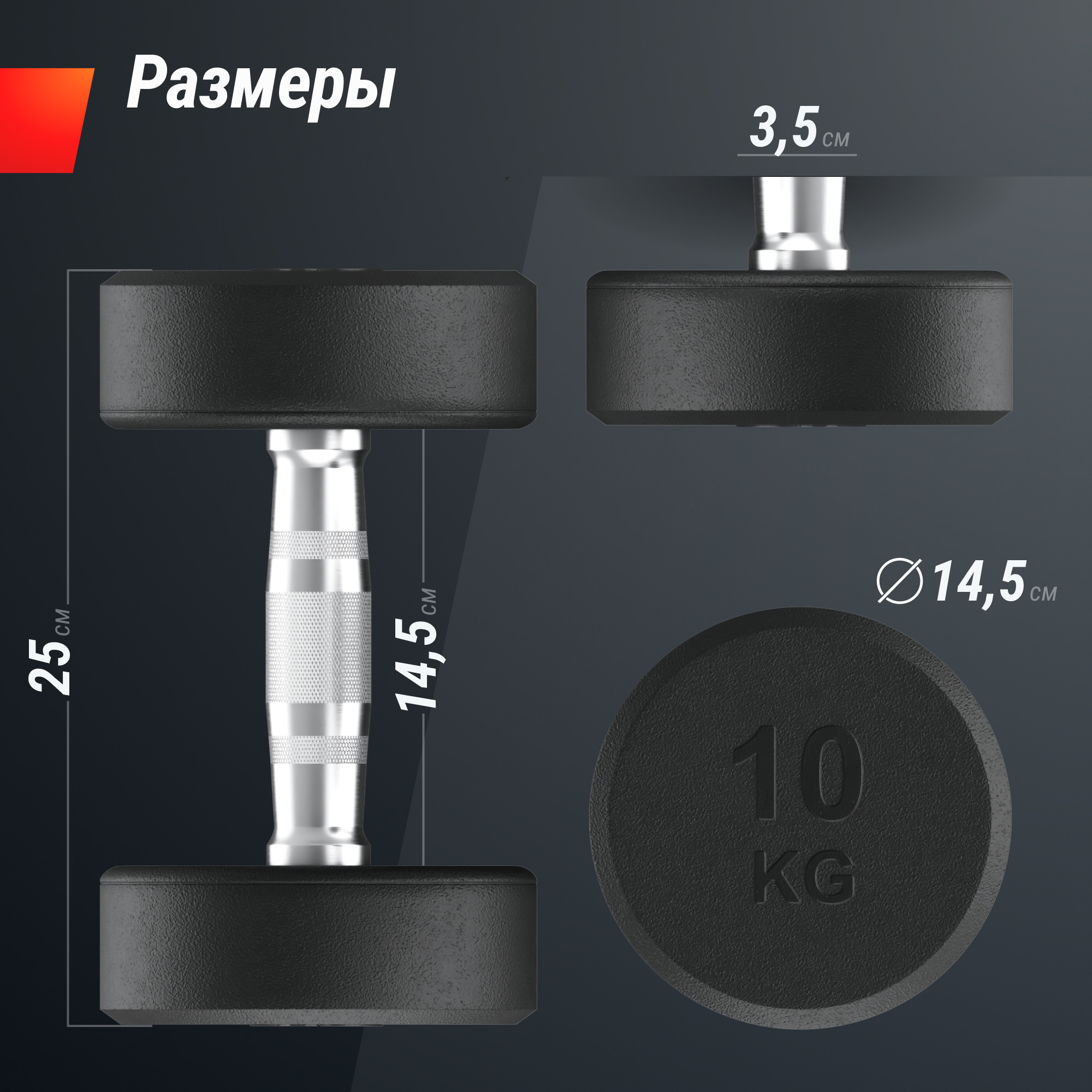 Гантель UNIX Fit PRO круглая обрезиненная 10 кг, 2 шт.