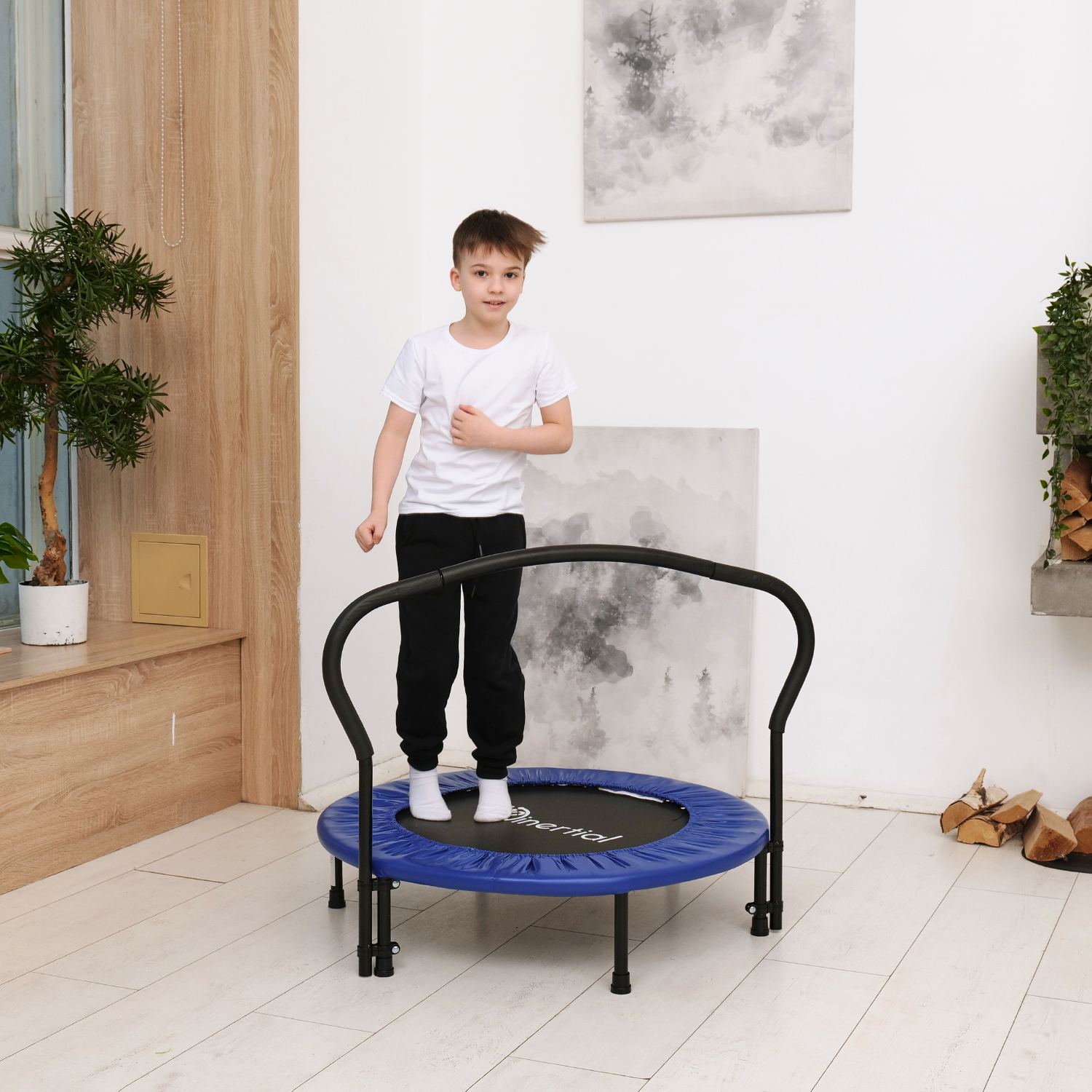 Батут с поручнем DFC JUMPFIT 36'' синий