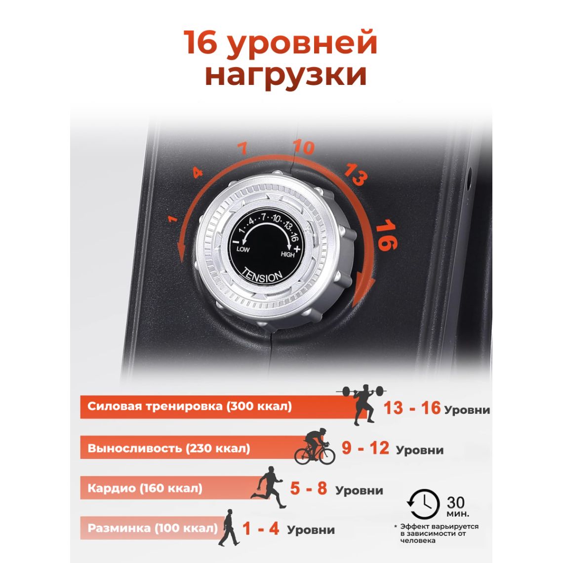 Гребной тренажер DFC ECHANFIT, складной — купить в Actus Sport