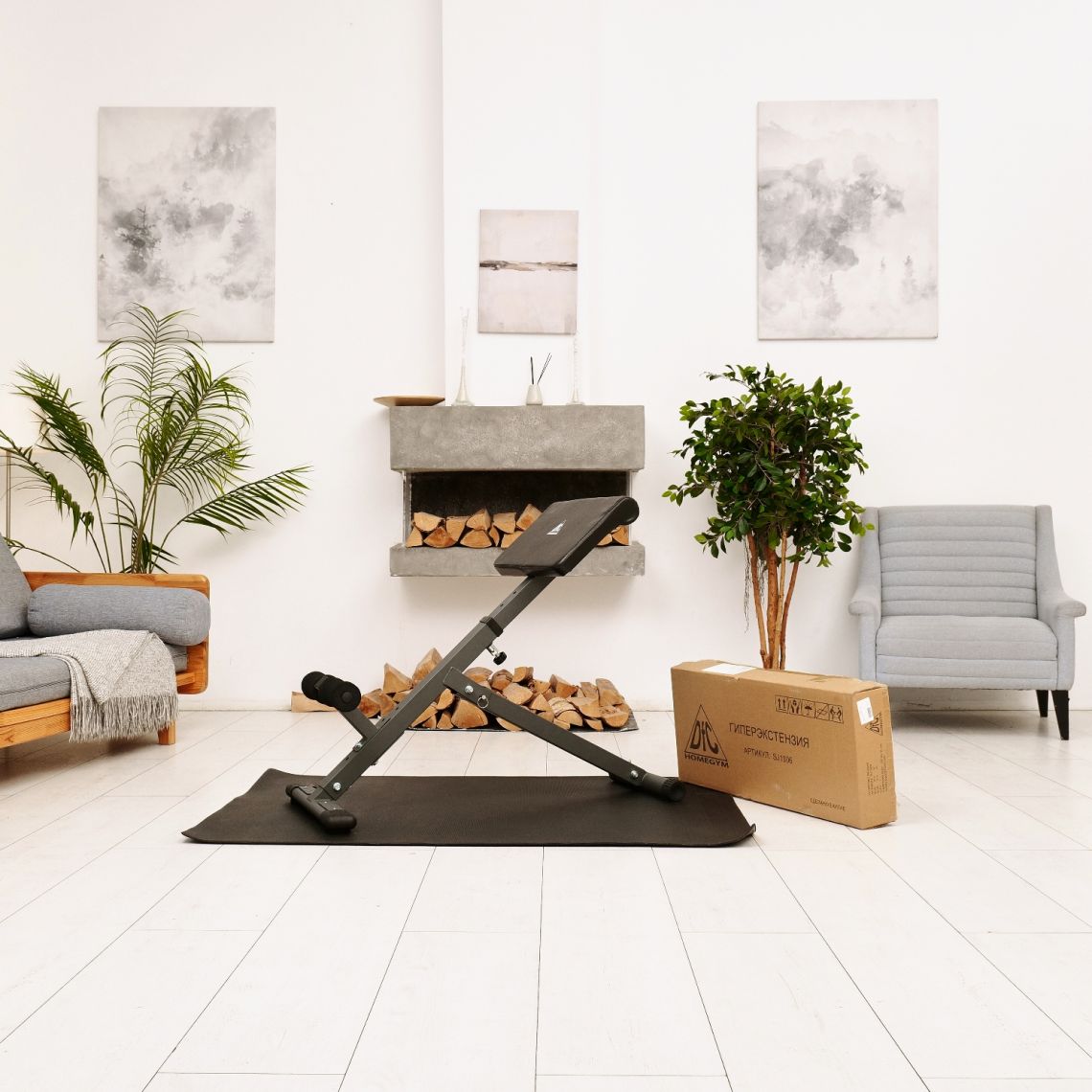 Гиперэкстензия DFC Homegym SJ1006