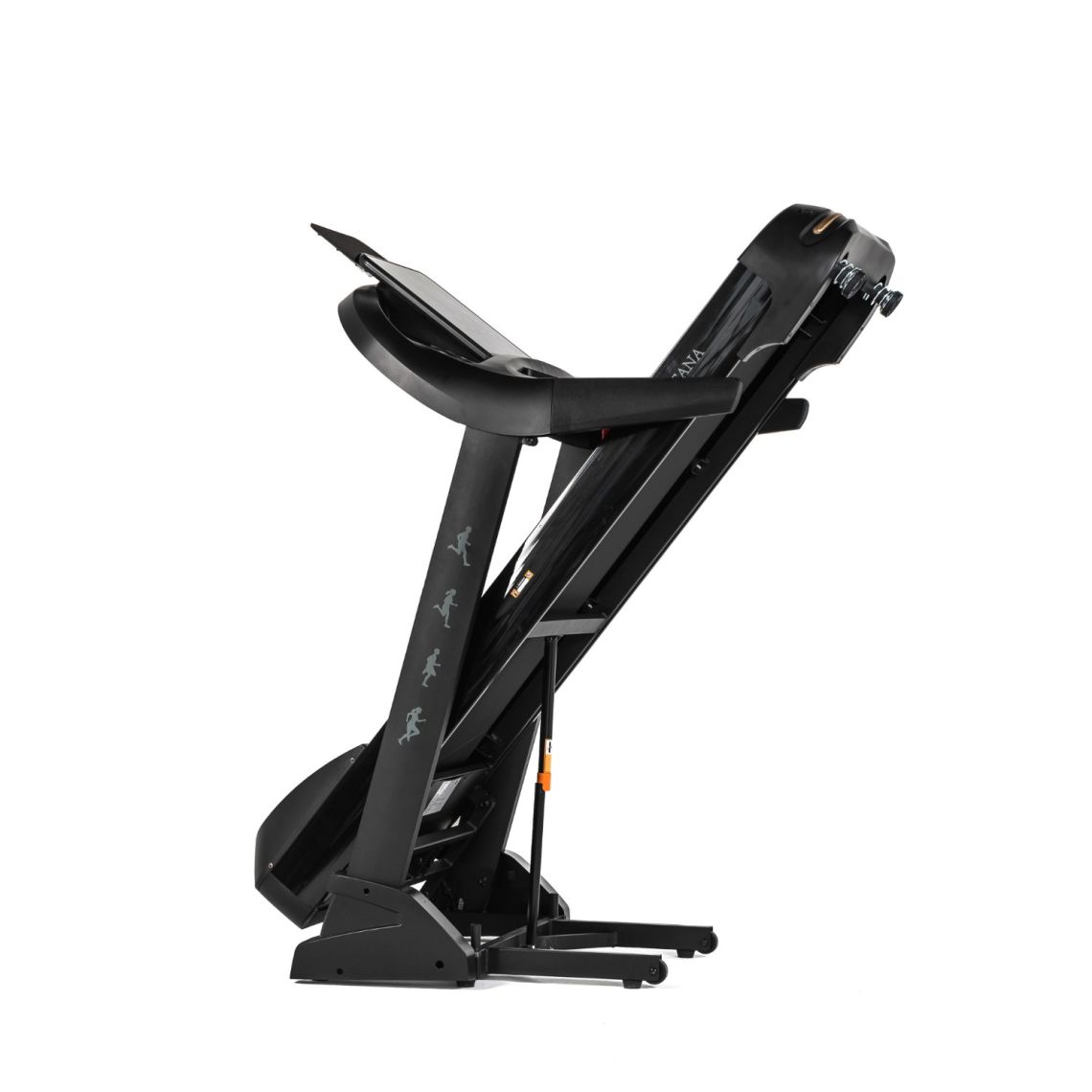 Беговая дорожка DFC SANTANA Pro T757 — купить в Actus Sport