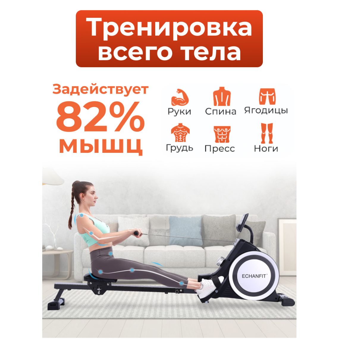 Гребной тренажер DFC ECHANFIT, складной — купить в Actus Sport