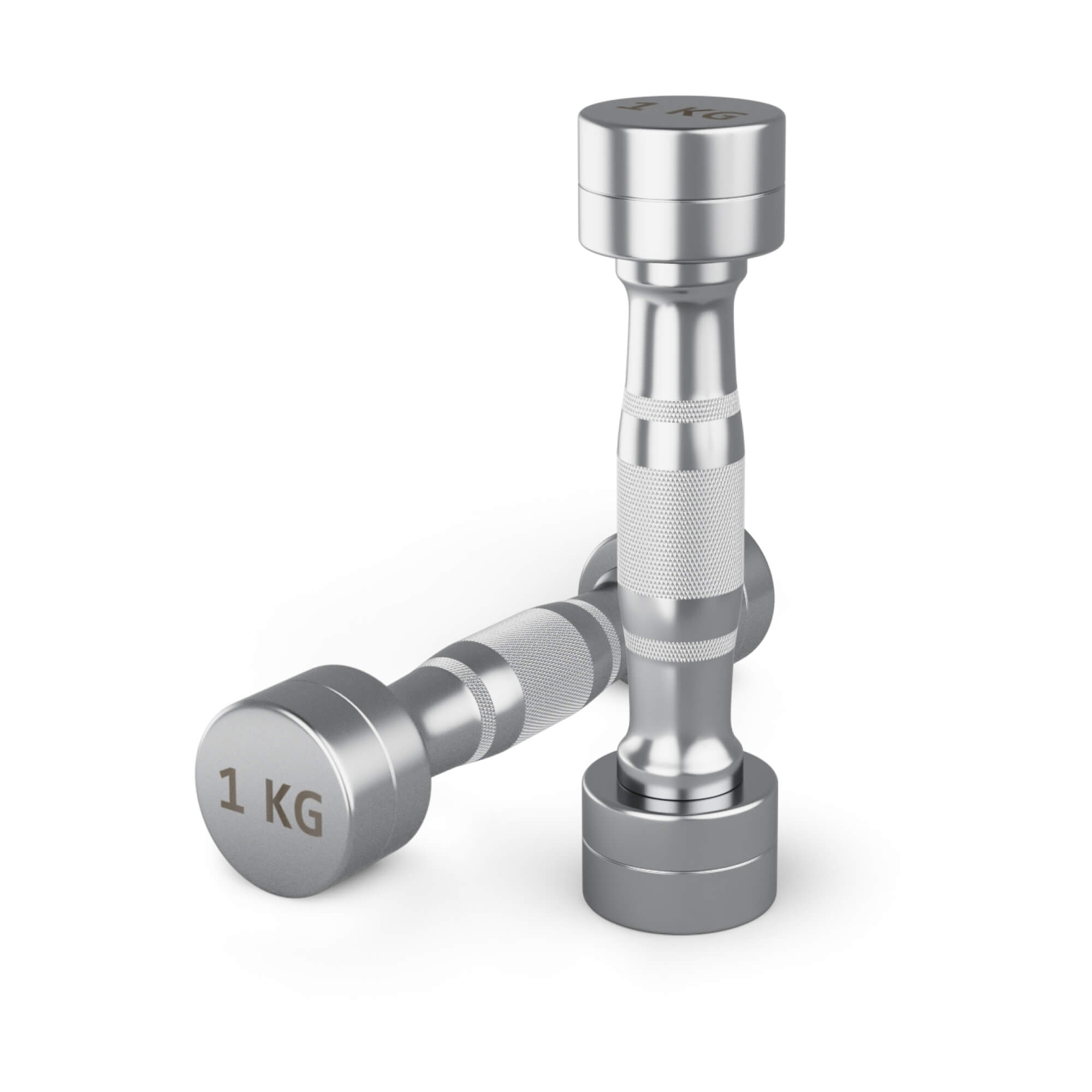 Гантель UNIX Fit PRO круглая хромированная 1 кг, 2 шт.