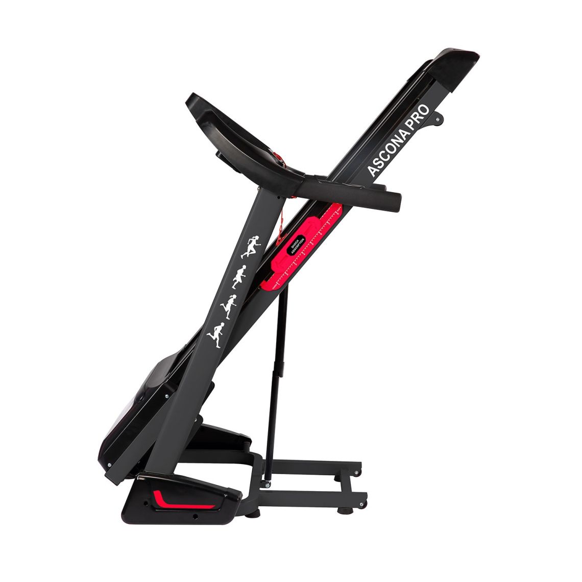 Беговая дорожка DFC ASCONA Pro T640 — купить в Actus Sport